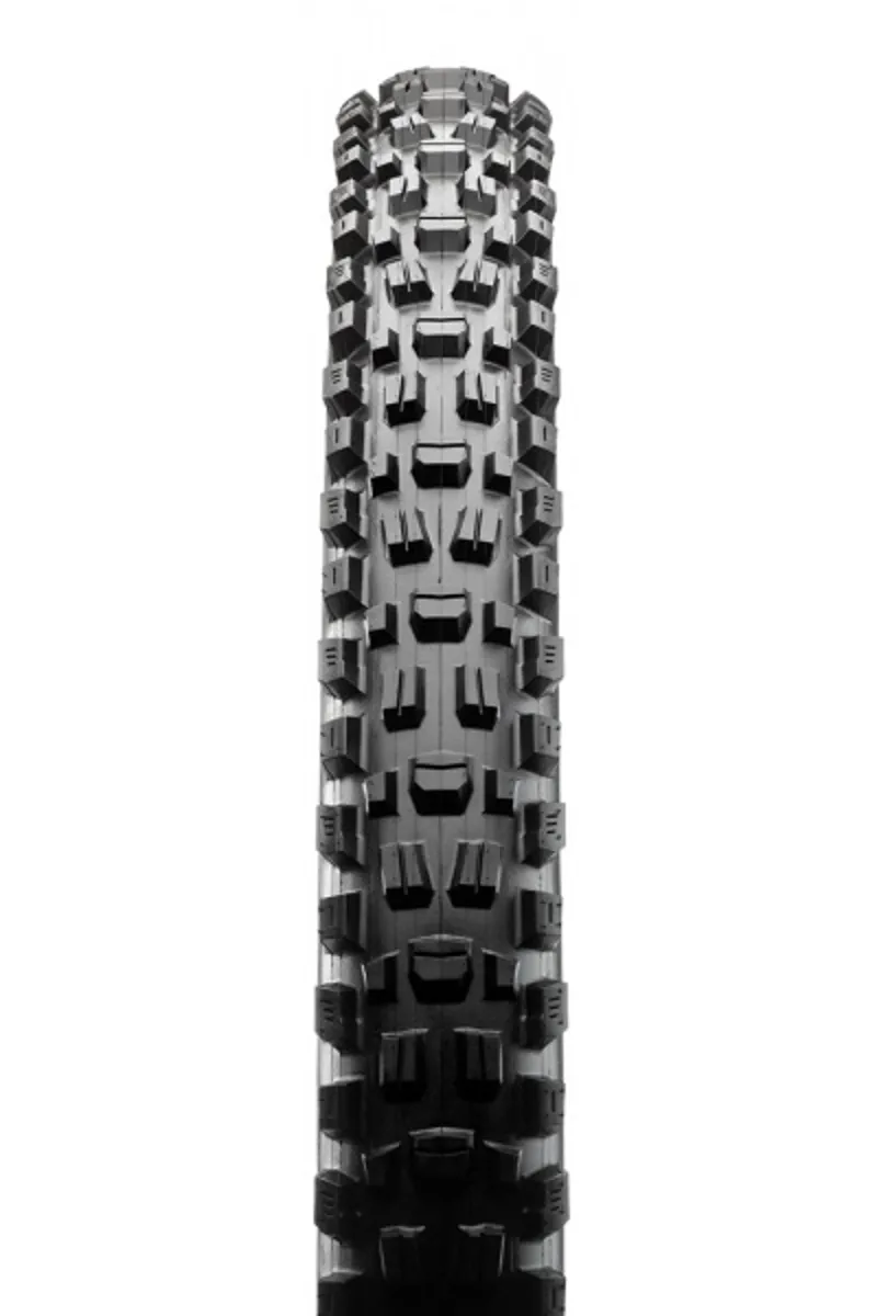 Maxxis Assegai Folding DH 29er Tyre Black-1